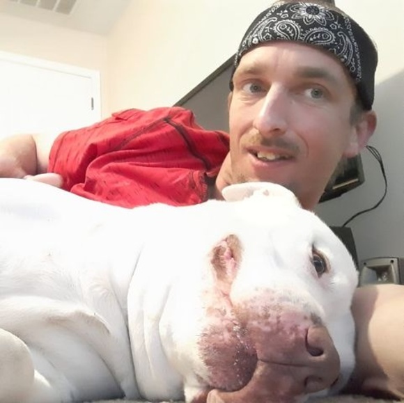 Meet your Posher, William - Picture 1 of 1